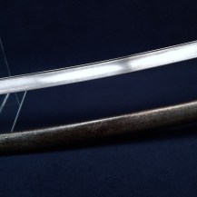 French M1822 Light Cavalry Officers Sword 10